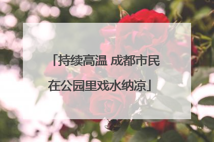 持续高温 成都市民在公园里戏水纳凉
